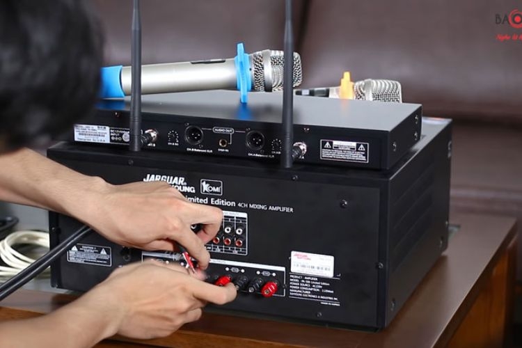 amply có tiếng hú