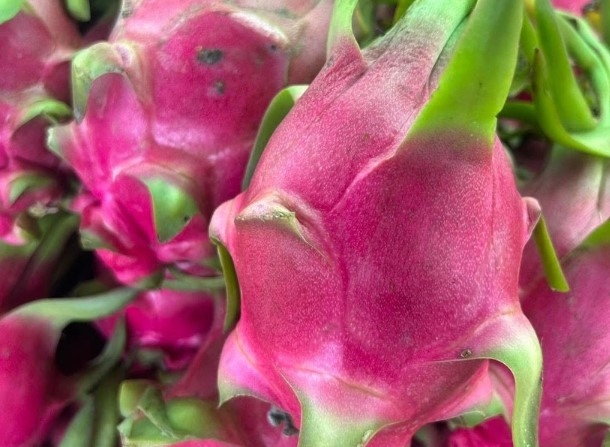 thanh long đỏ còn giàu carotene (tiền vitamin A) và anthocyanin