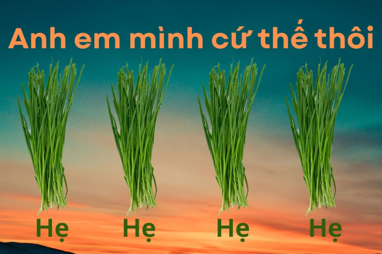 Anh em mình cứ thế thôi hẹ hẹ hẹ là gì 7