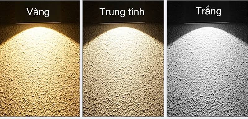 Ánh sáng trung tính 2