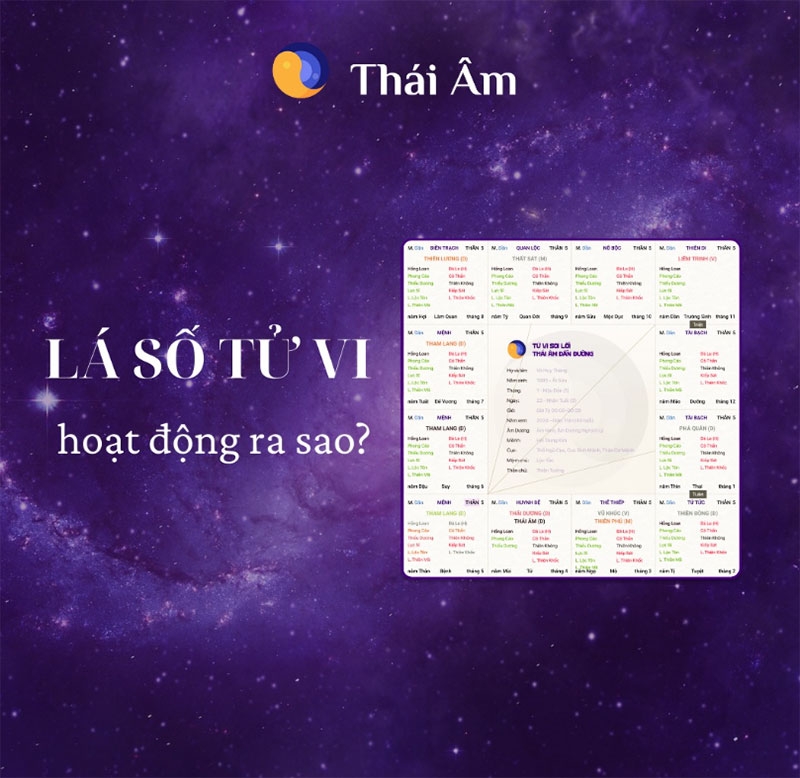 App xem tử vi hình 7