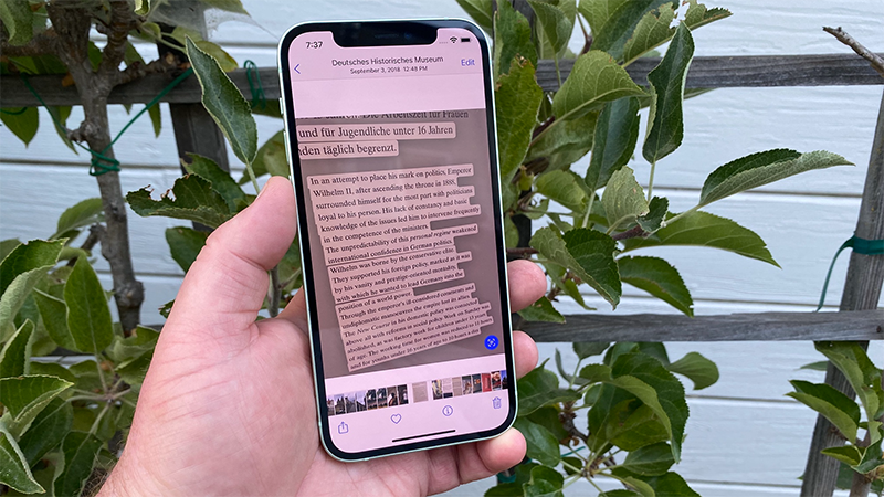 Apple Live Text là gì? (hình 5)