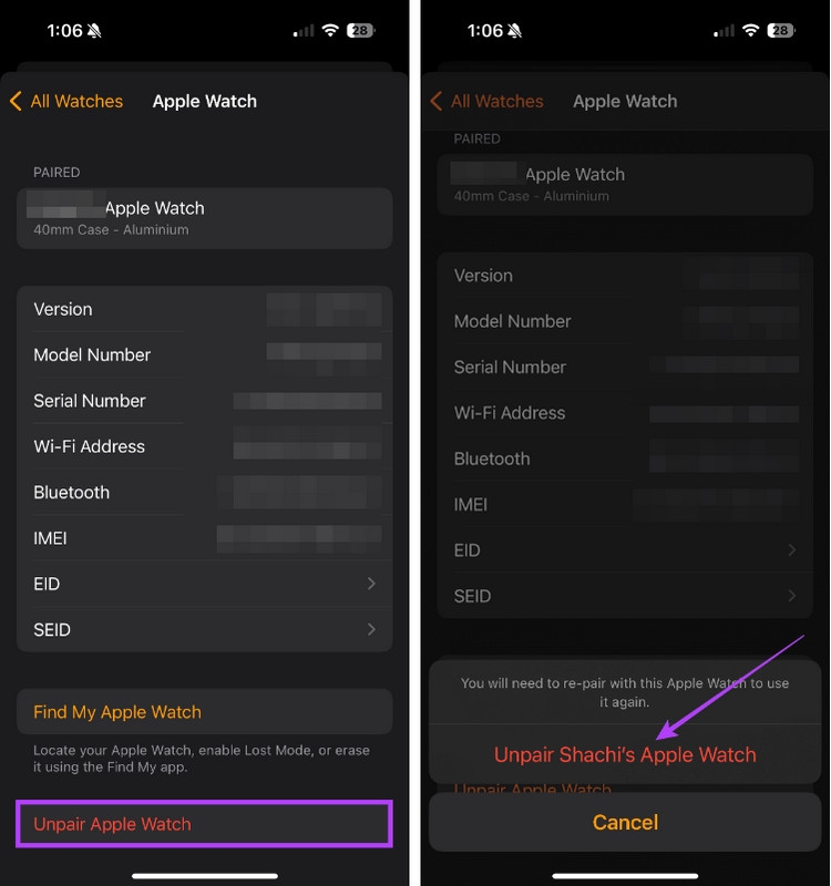 Apple Watch không gọi được - ảnh 4