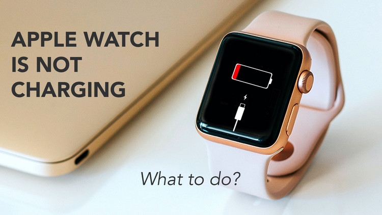 Apple Watch sạc không vào pin - ảnh 1