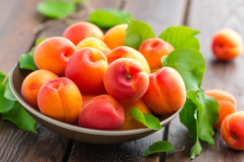 Apricot là quả gì 1