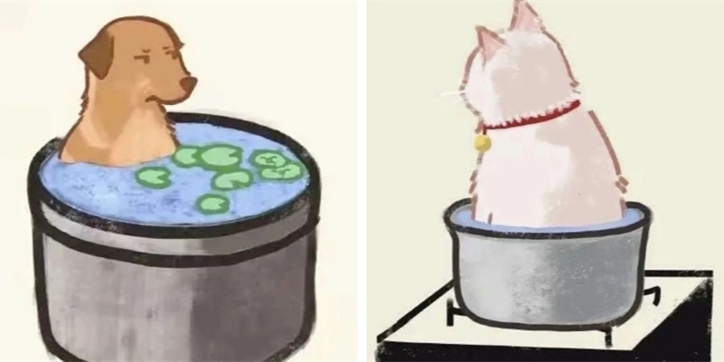 Avatar vô tri theo trend meme 1