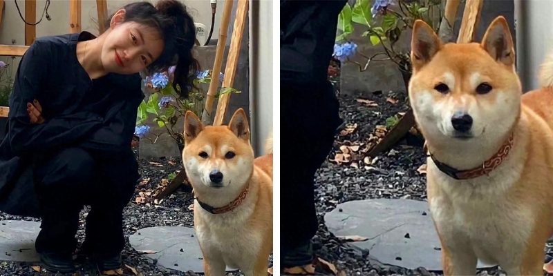 Avatar chibi vô tri dành cho các cặp đôi nhí nhố 6