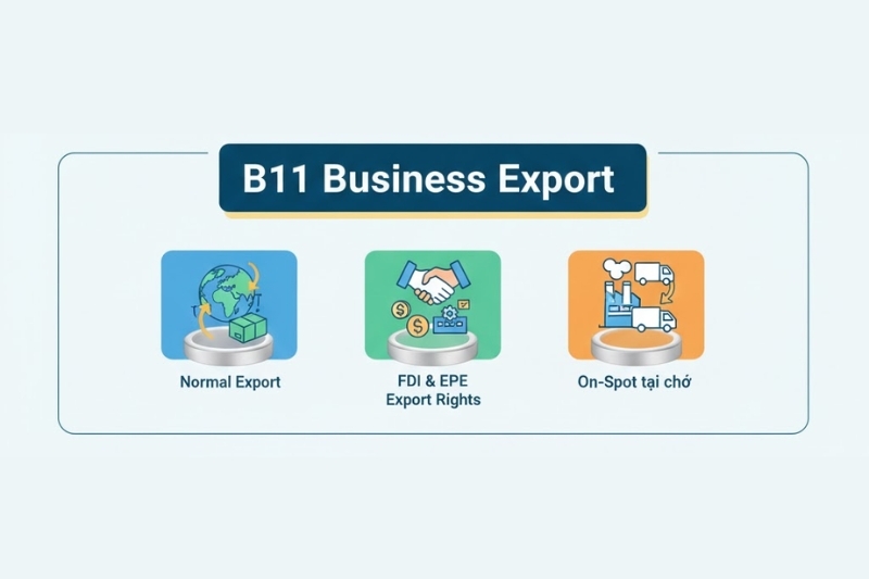 B11 là loại hình gì ảnh 1