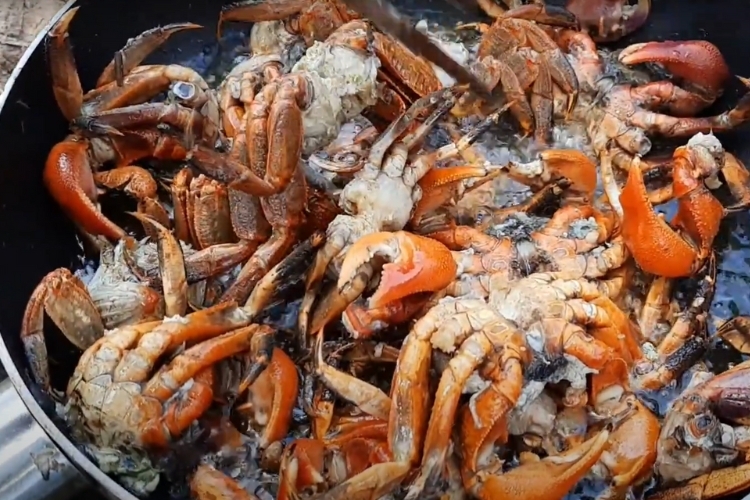 Bước 3: Chiên ba khía