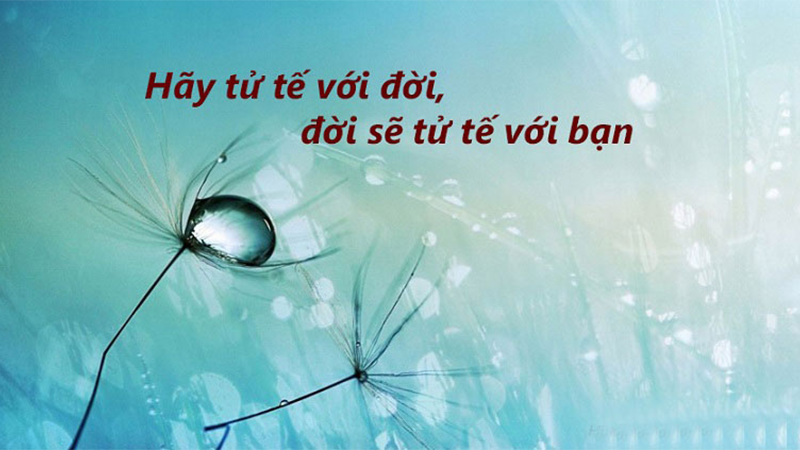 Bạc bẽo là gì? (hình 5)