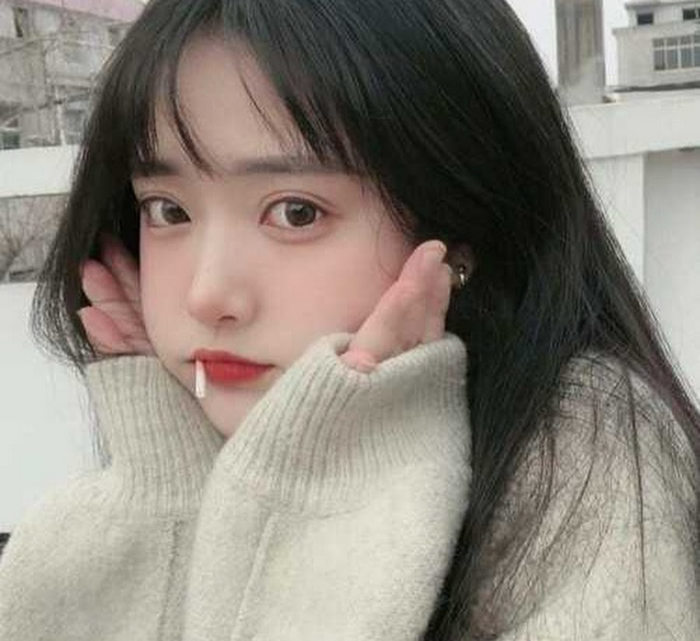 bạch liên hoa là gì 3.png