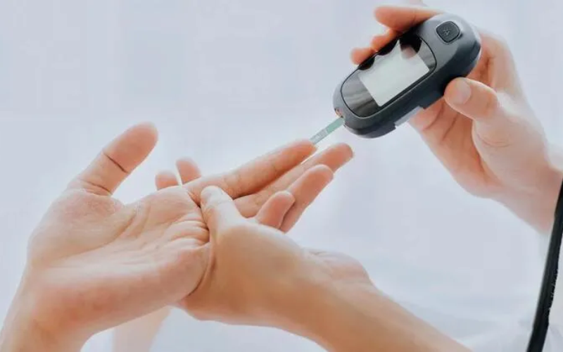 Bạch quả là gì? (hình 2)