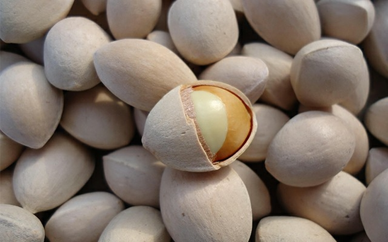 Bạch quả là gì? (hình 6)