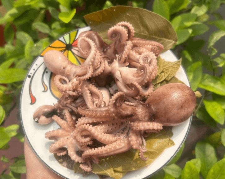 bạch tuộc hấp lá ổi 1