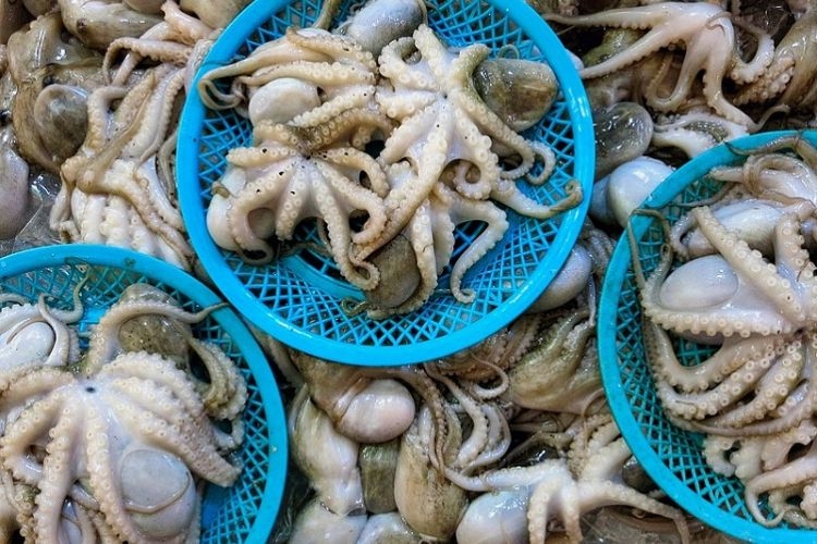 bạch tuộc xào sả ớt