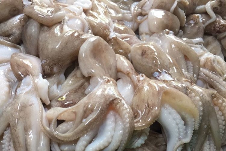 bạch tuộc xào sả ớt