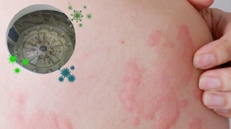 Bảng gi&aacute; vệ sinh m&aacute;y giặt (H&igrave;nh 3)