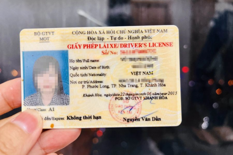 Bằng lái xe màu gì? (hình 1)