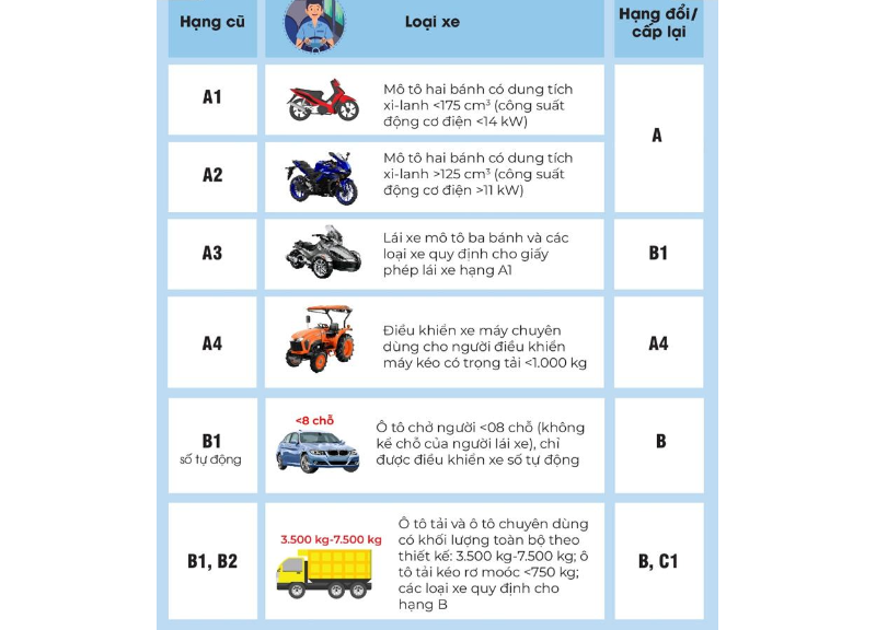 Bằng lái xe màu gì? (hình 6)