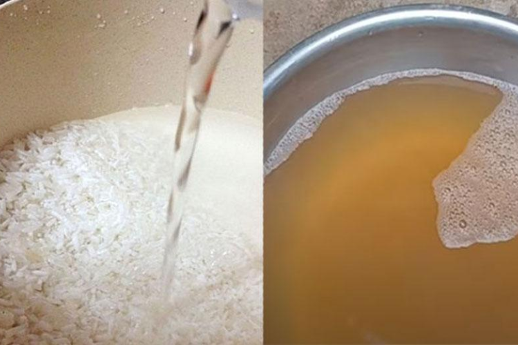 Bánh gio mật mía hình 5