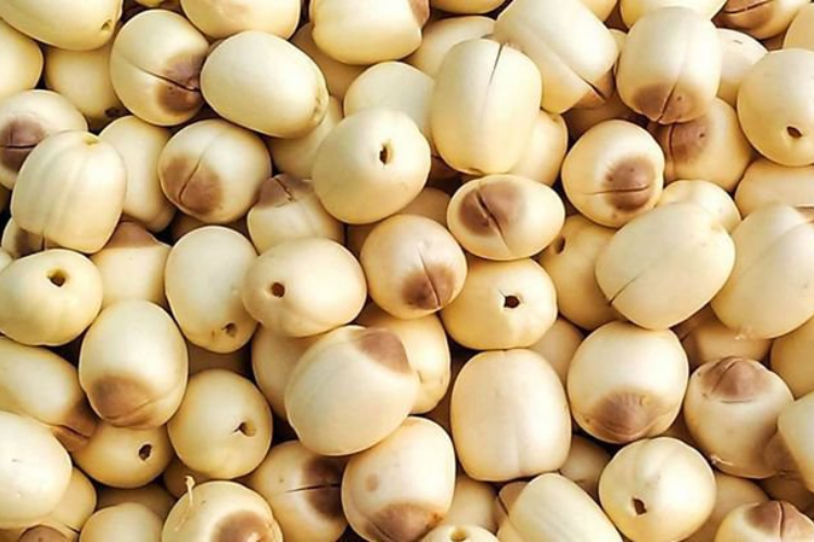 Bánh hạt sen Huế nướng hình 2