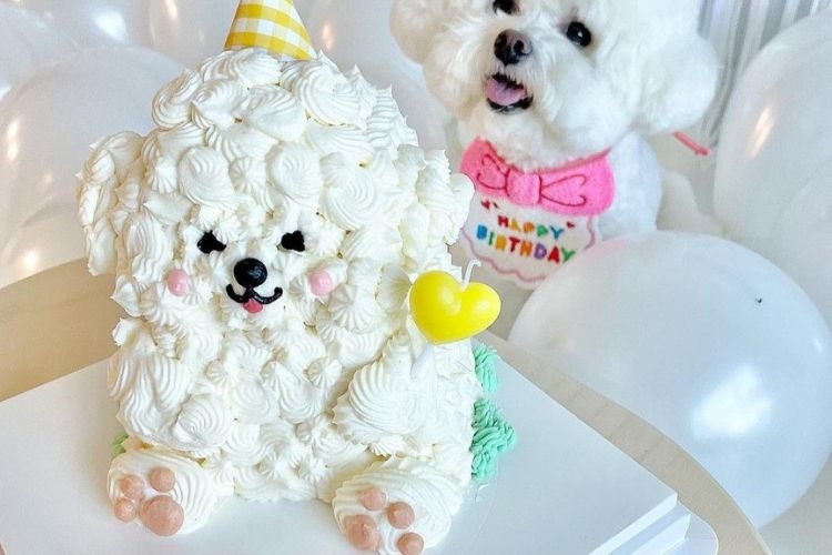 Tổng hợp mẫu bánh kem hình con chó đẹp, dễ thương và ý nghĩa nhất dành cho người yêu thú cưng