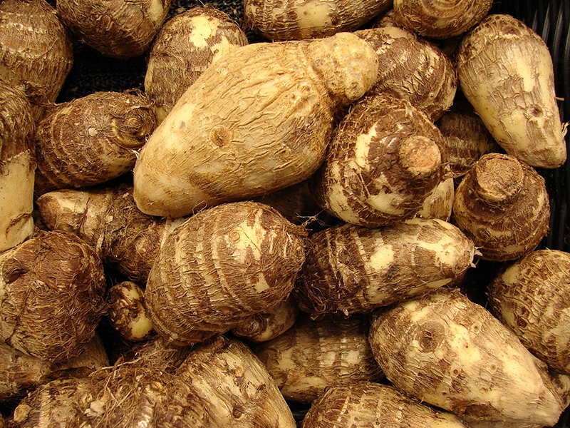 bánh khoai sọ chiên ảnh 9