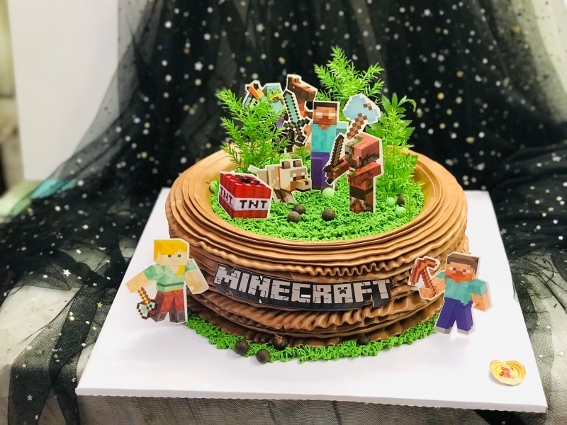 Bánh sinh nhật Minecraft 17