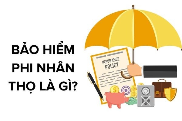 bảo hiểm phi nhân thọ là gì ảnh 1