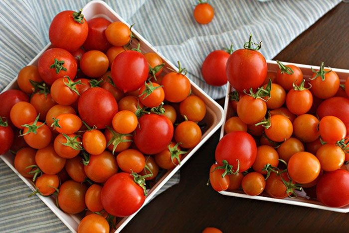 bảo quản cà chua không cần tủ lạnh 1