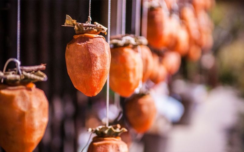 Chọn hồng treo gió còn cuống