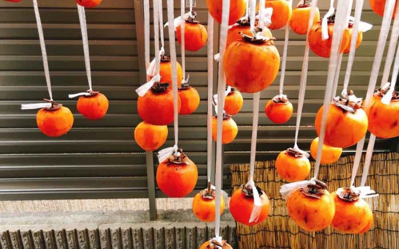 Chọn hồng treo đủ thời gian