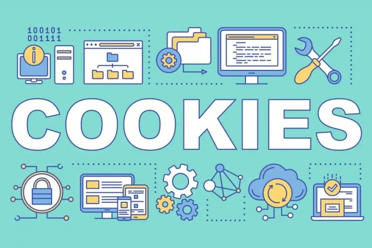 Bật Cookie trình duyệt ảnh 12