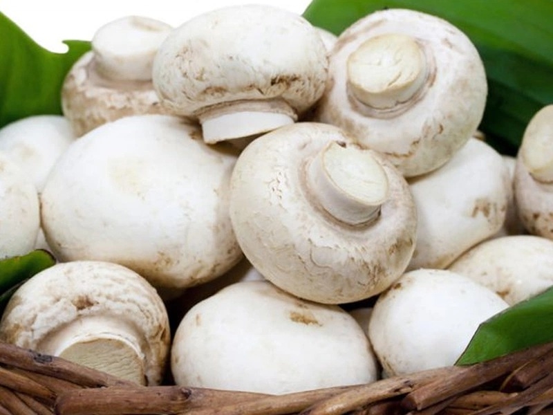 Bật mí cách làm nấm mỡ xào tỏi (hình 1)