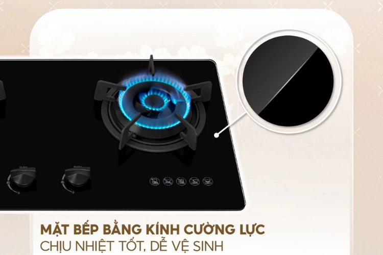 bếp ga rinnai mặt kính 5