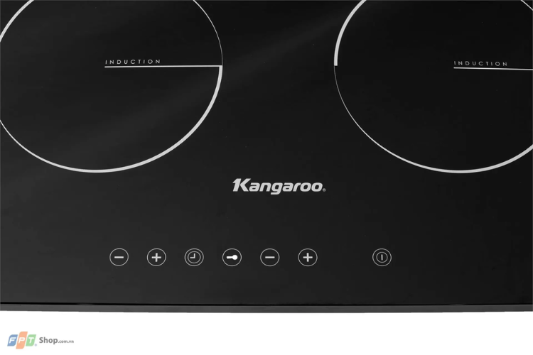 Bếp từ đôi phù hợp cho gia đình bao nhiêu người nếu có nhu cầu nấu ăn thường xuyên?