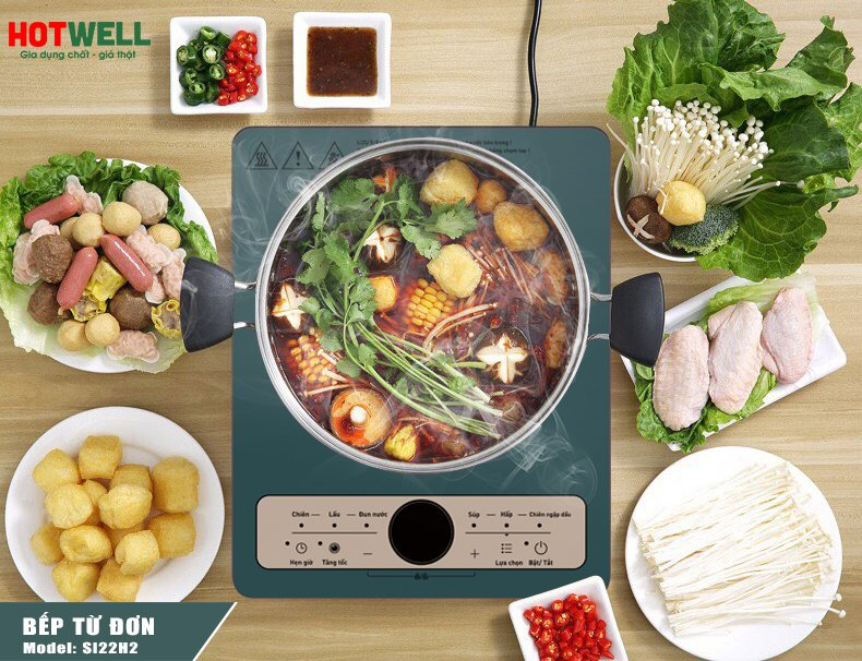 Bếp từ Hotwell (ảnh 7)