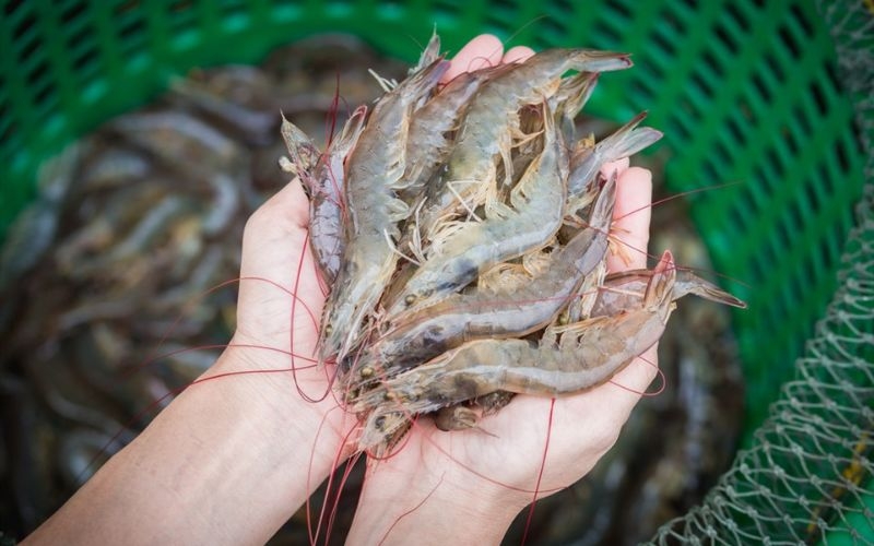 Canh bí đỏ nấu tôm 9