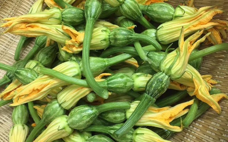 Cách chọn mua bí nụ tươi ngon