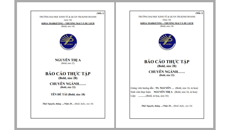 Bìa báo cáo thực tập hình 5
