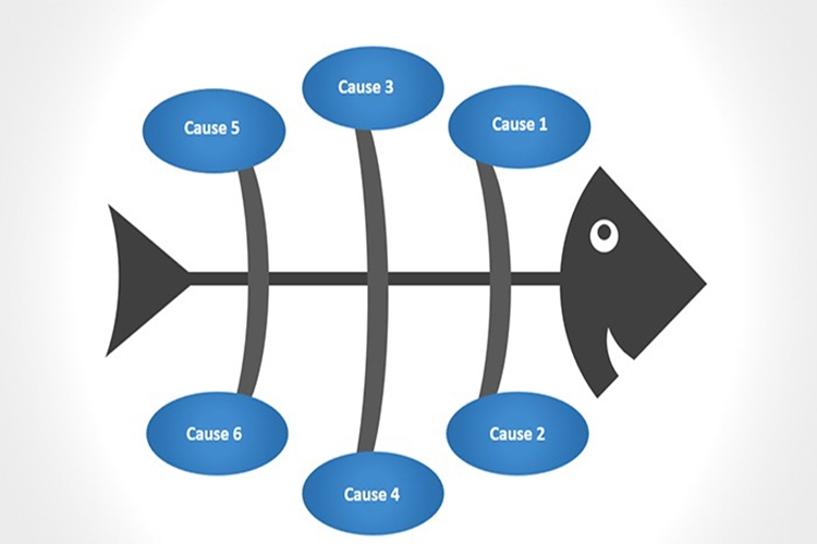 biểu đồ xương cá hình 4