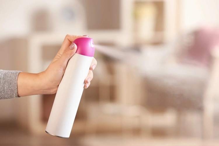 Bình xịt côn trùng loại nào tốt? Kinh nghiệm chọn mua và sử dụng an toàn hiệu quả