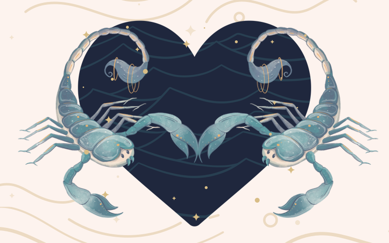 Nam Bọ Cạp - Nữ Bọ Cạp