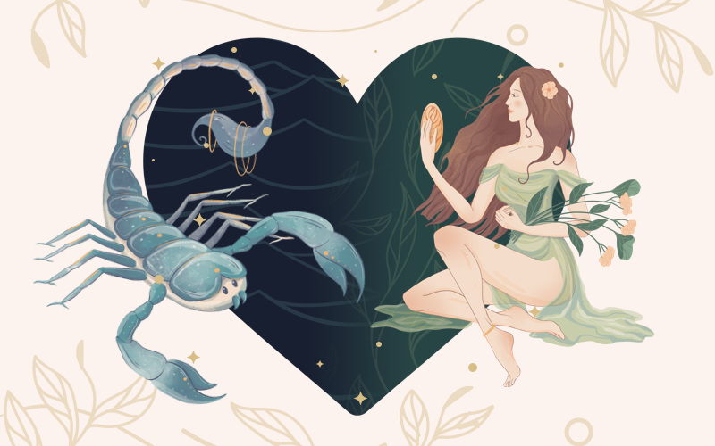 Nữ Bọ Cạp - Nam Xử Nữ