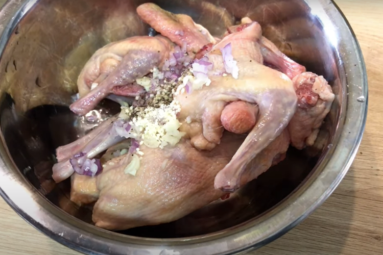 bồ câu rôti hình 4