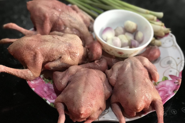 bồ câu rôti hình 6