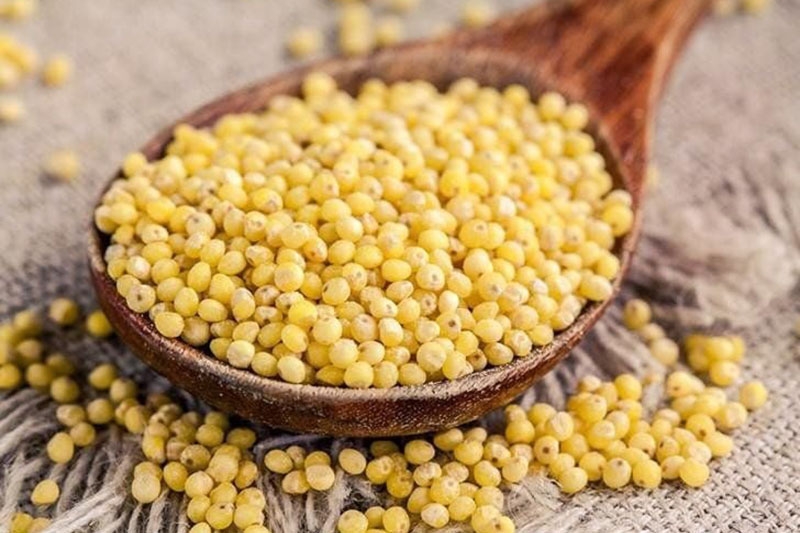 Bỏ túi cách nấu kê bằng nồi cơm điện (hình 3)