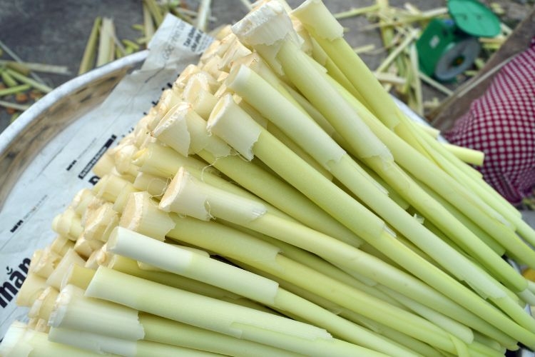 Bồn bồn xào tỏi
