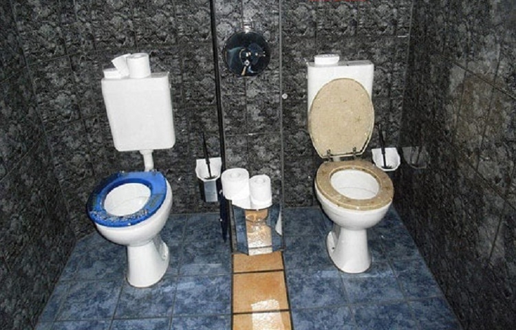 Bồn cầu đôi là gì? (Hình 5)