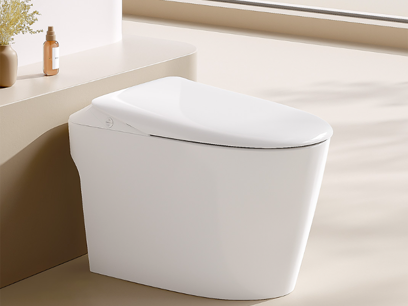 Bồn cầu thông minh là gì? (Hình 1)